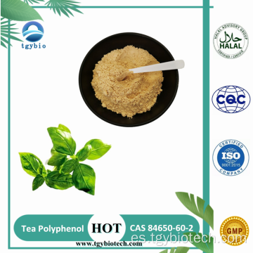Natural 98% Té Polyphenol Extracto de té verde en polvo